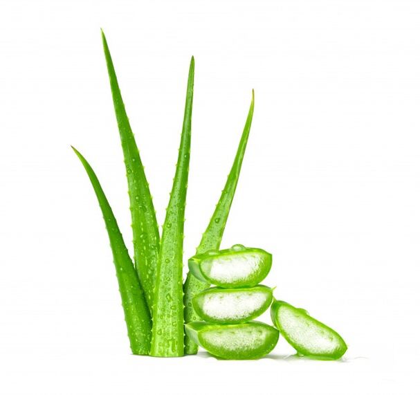 Aloe Vera an Men's Defence