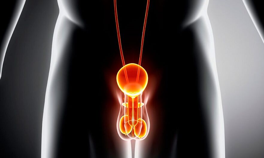 entzündegt genitourininäre System fir Prostatitis